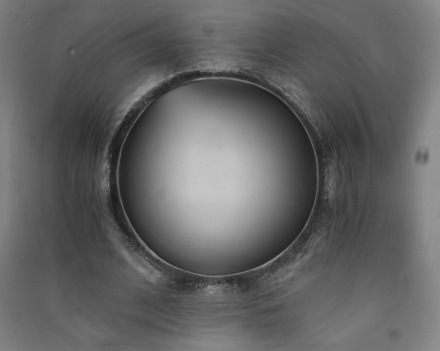 X0000091570584200708201147