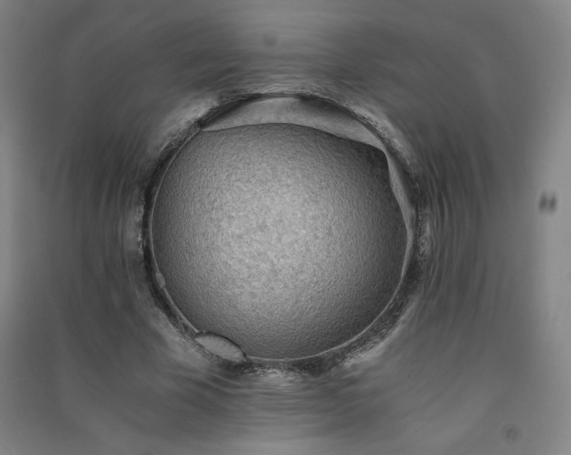 X0000091570585200708201147