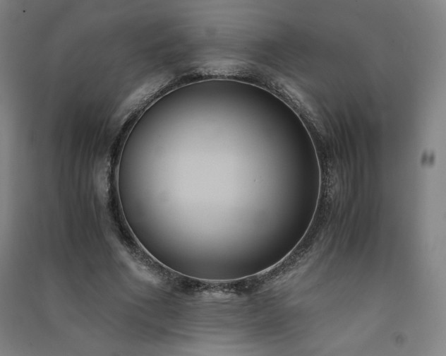 X0000091570586200708201147