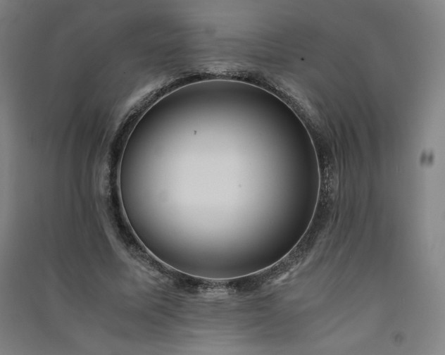 X0000091570587200708201147
