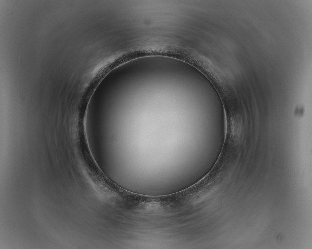 X0000091570588200708201147