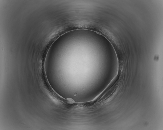 X0000091570589200708201147