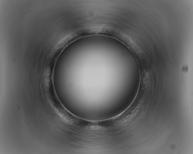 X0000091570590200708201147