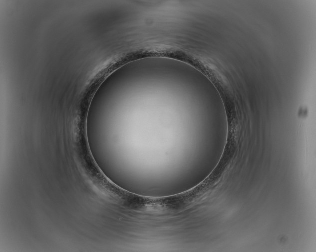X0000091570591200708201147