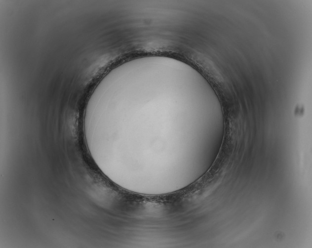 X0000091570592200708201147