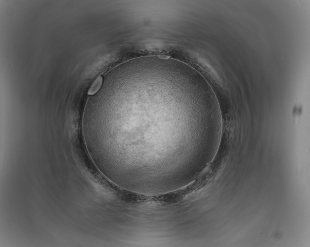 X0000091570593200708201147