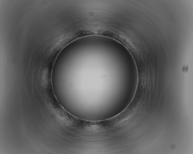 X0000091570594200708201147