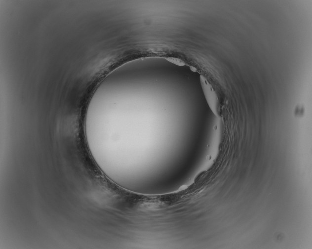 X0000091570595200708201147