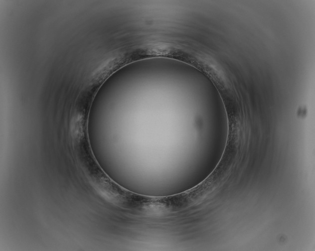 X0000091570598200708201147