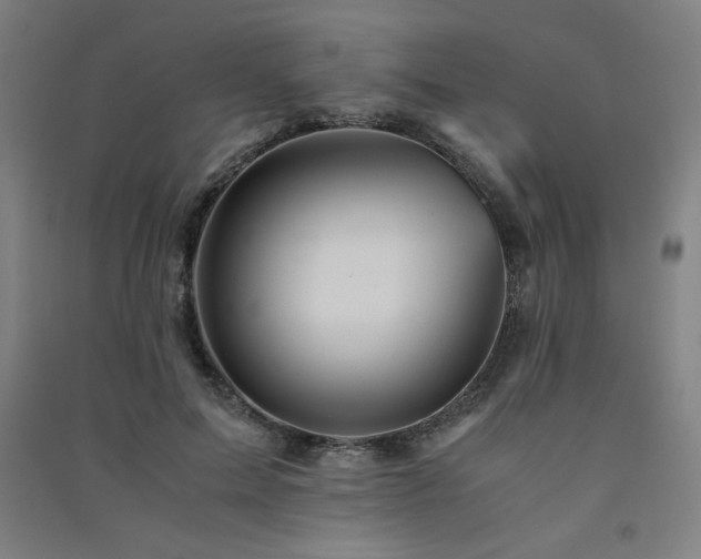 X0000091570599200708201147