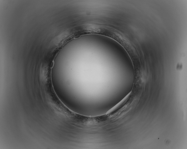 X0000091570600200708201147