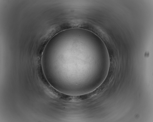 X0000091570601200708201147