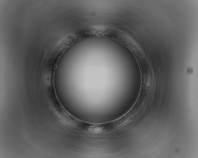 X0000091570602200708201147