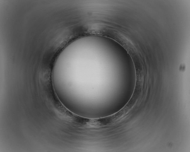 X0000091570603200708201147