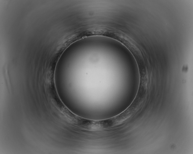 X0000091570604200708201147