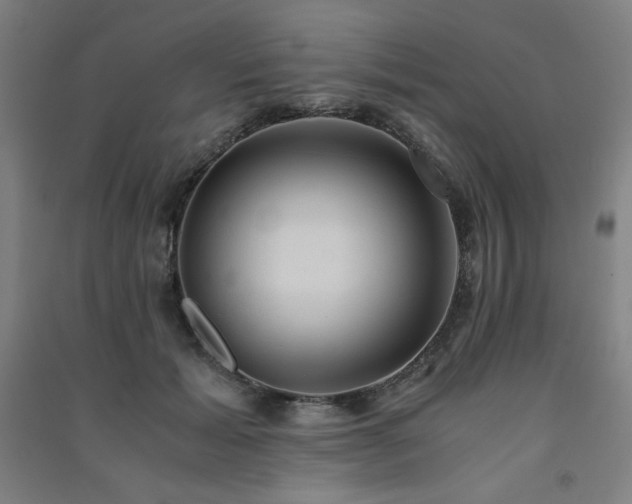 X0000091570605200708201147