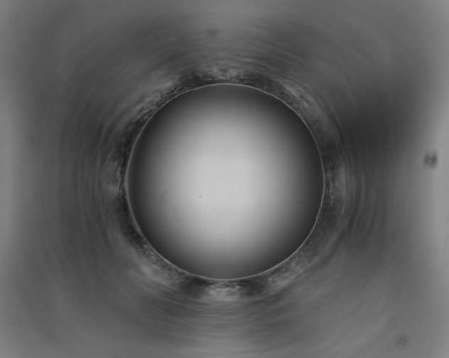 X0000091570606200708201147