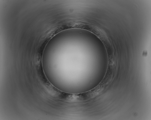 X0000091570607200708201147