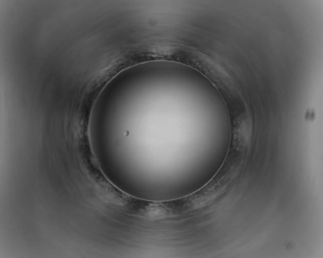 X0000091570608200708201147