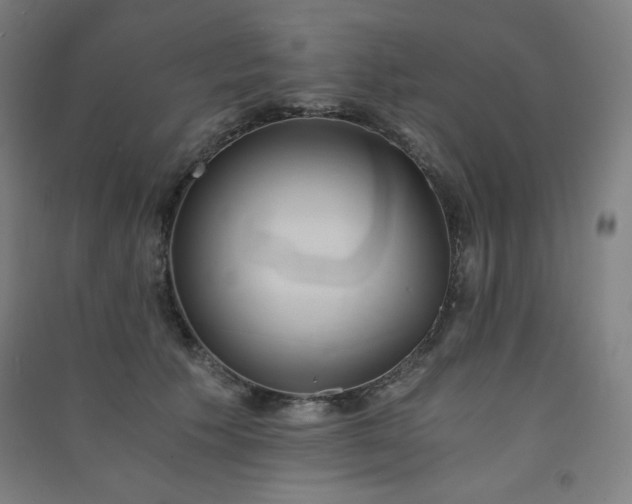 X0000091570609200708201147