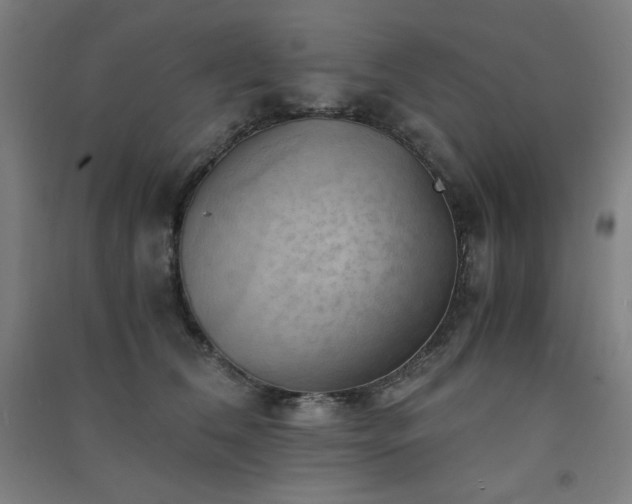 X0000091570612200708201147