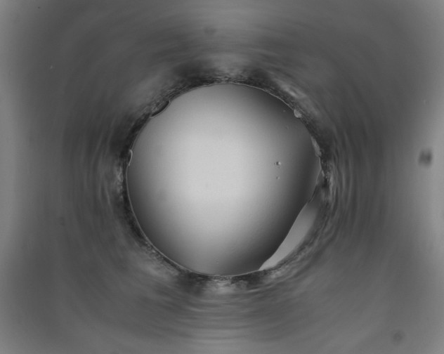 X0000091570613200708201147