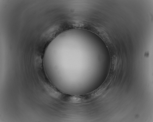 X0000091570614200708201147