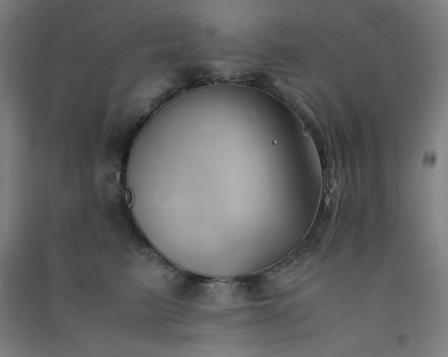 X0000091570615200708201147