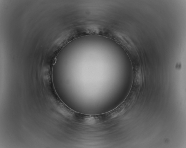 X0000091570616200708201147
