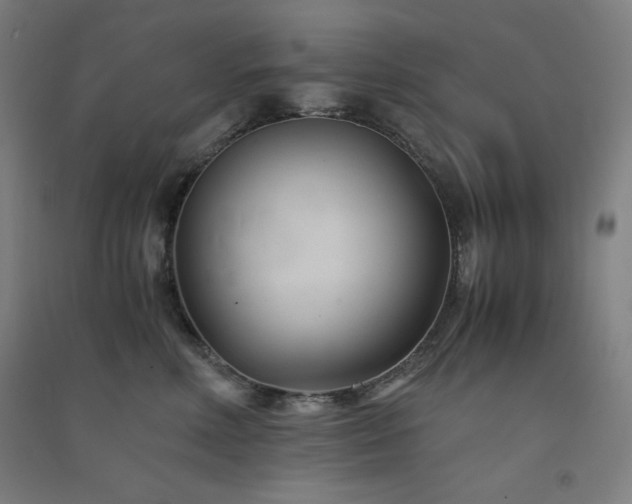 X0000091570618200708201147