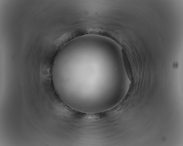 X0000091570619200708201147