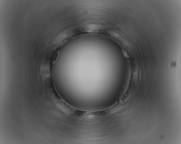 X0000091570620200708201147