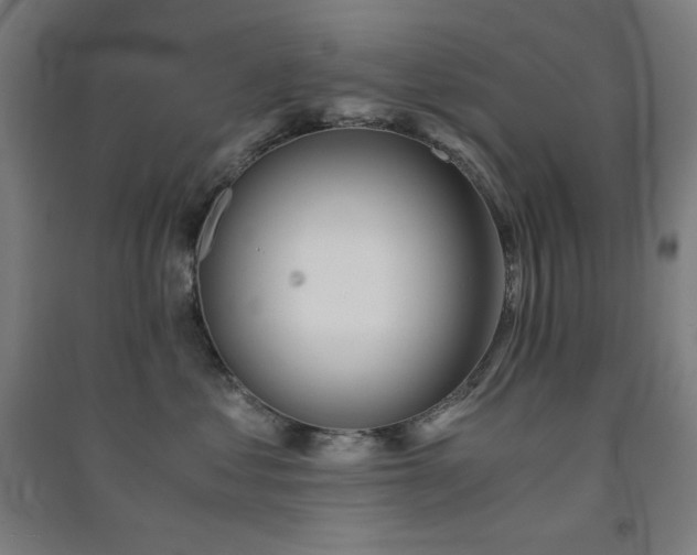 X0000091570621200708201147