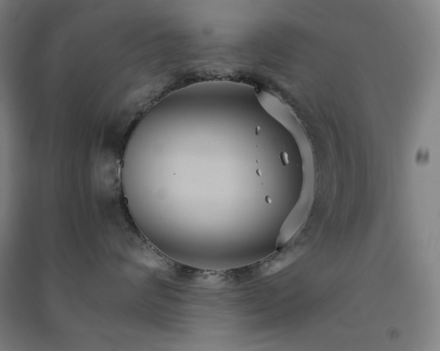 X0000091570624200708201147