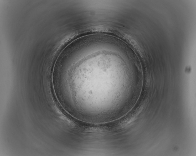 X0000091570625200708201146