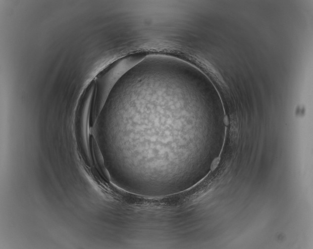 X0000091570626200708201146