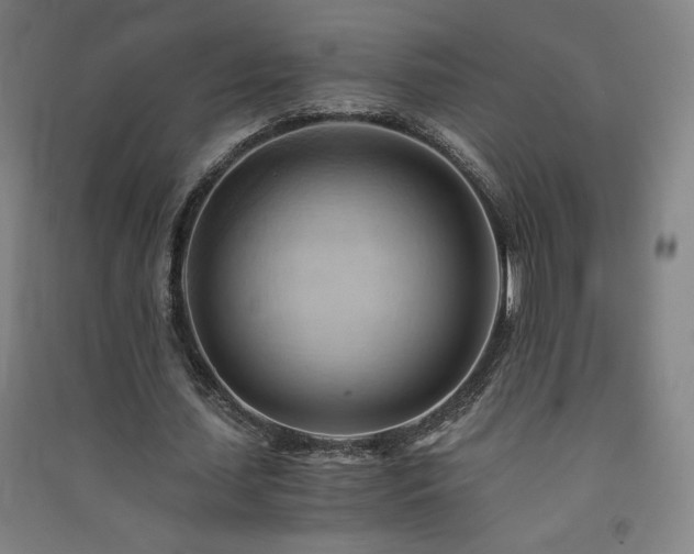 X0000091570627200708201146