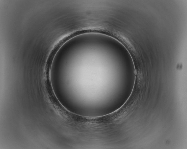 X0000091570628200708201146