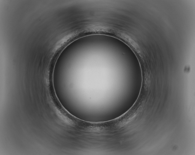 X0000091570629200708201146