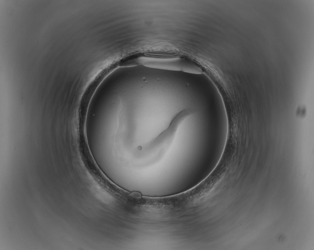 X0000091570630200708201146