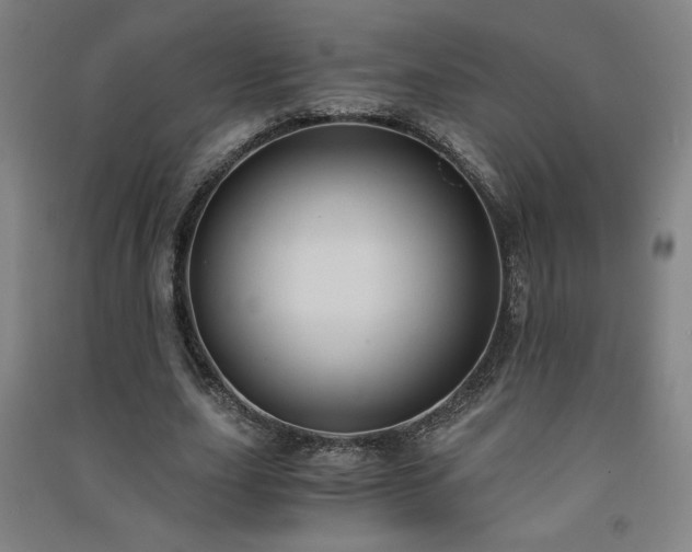X0000091570631200708201146