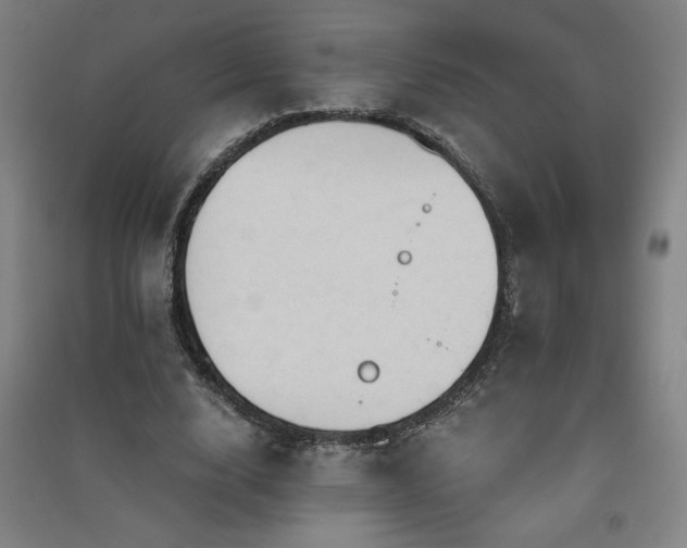 X0000091570632200708201146