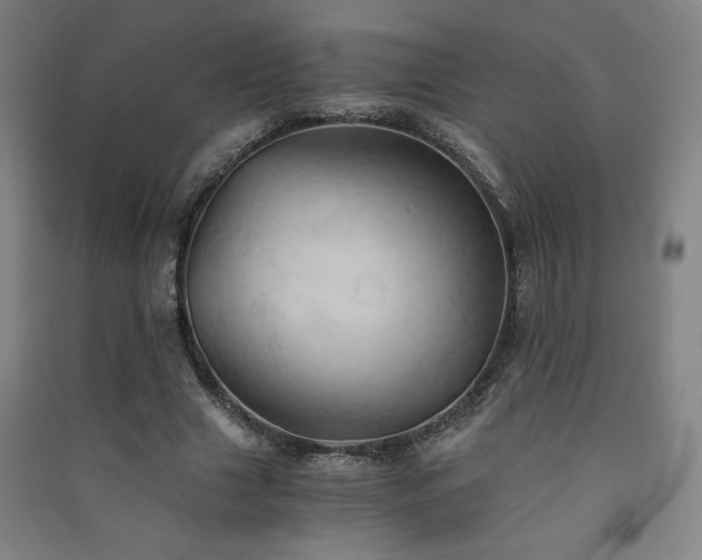 X0000091570633200708201146