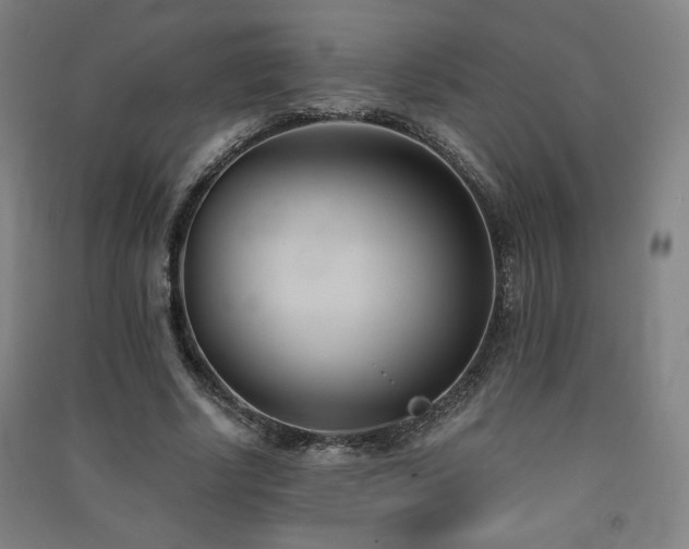 X0000091570634200708201146