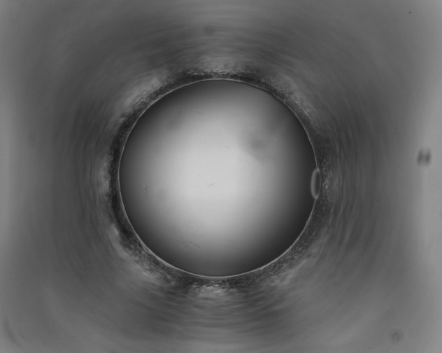 X0000091570635200708201146