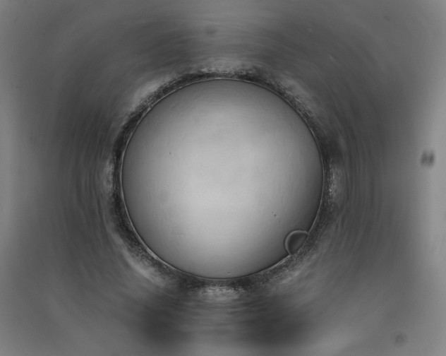 X0000091570636200708201146