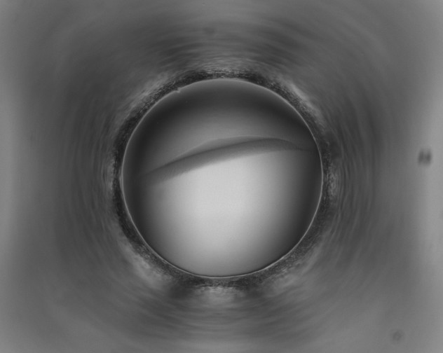 X0000091570637200708201146