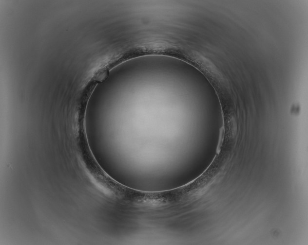 X0000091570638200708201146