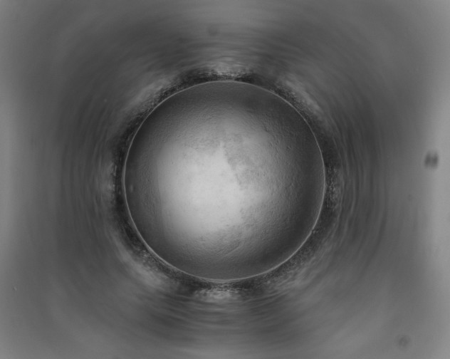 X0000091570639200708201146