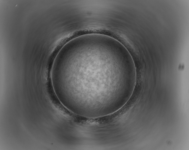 X0000091570640200708201146